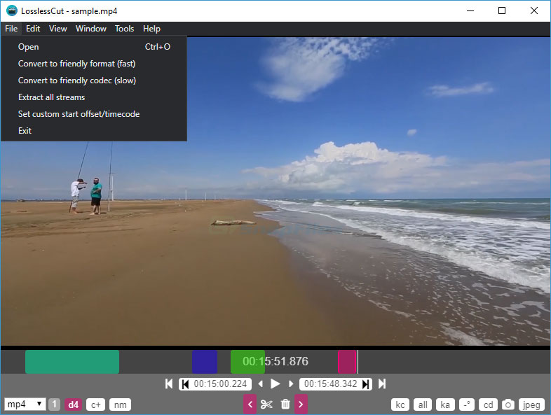 LosslessCut export settings and output options